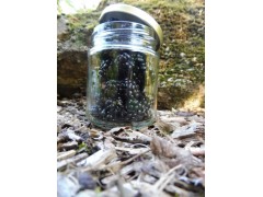Confiture extra de Mûre